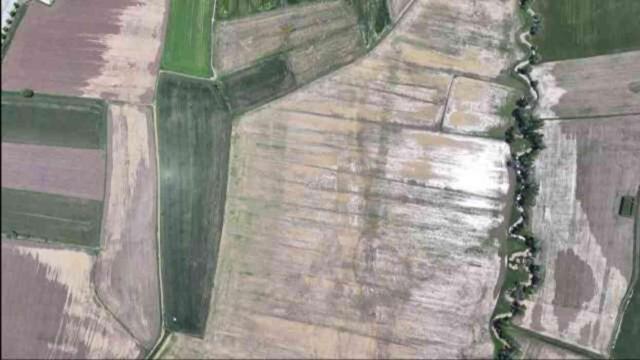 Çorum'un Alaca ilçesini sel vurdu! Evler ve tarım arazileri sular altında kaldı