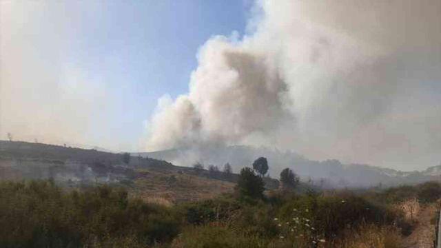 Manisa'da orman yangını yerleşim alanına kadar yaklaştı, ekiplerin zamana karşı yarışı başladı