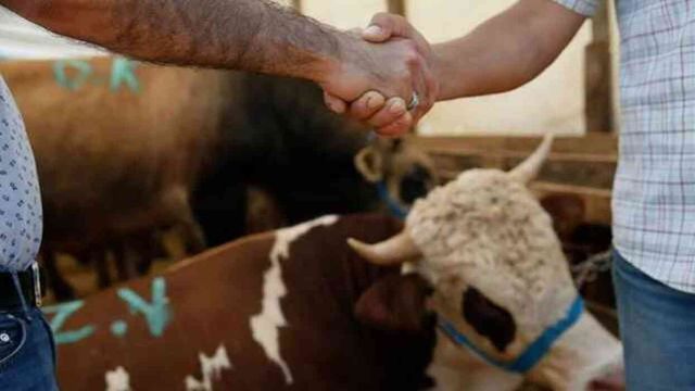 KURBAN BAYRAMI 9 GÜN TATİL Mİ? Kurban Bayramı'nda kaç gün tatil olacak?