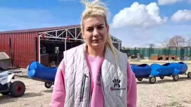 Kuduz köpekleri Ankara'ya taşımıştı! Hayvanlar için para toplayan kadın emlak zengini çıktı