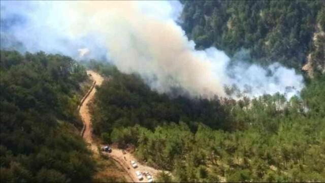 Tokat'ta ormanlara giriş yasak mı? Ormanlara giriş yasağı ne zaman başlıyor, ne zaman bitiyor?