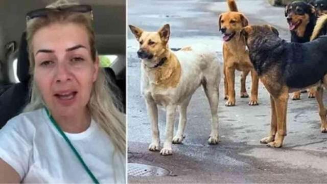 Buket Özgünlü kimdir, ne iş yapıyor? Buket Özgünlü (köpek velisi) neden tutuklandı, kuduz köpek olayı nedir?