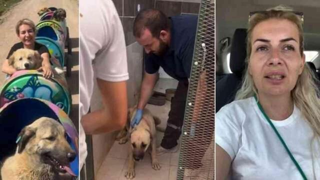 'Kuduz köpekler Ankara'ya taşındı' iddiası sonrası tutuklanan Buket Özgünlü hakkında karar çıktı