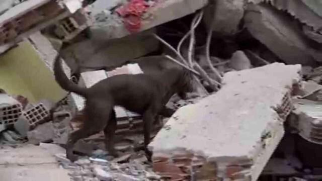 Bahçelievler'de 4 katlı bina çöktü! Çevre evler boşaltıldı, İstanbul Valiliği'nden açıklama var