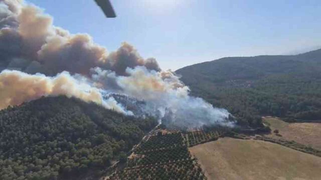 İzmir'in 5 ilçesinde orman yangını! Bakan Yumaklı bölgeye gidiyor