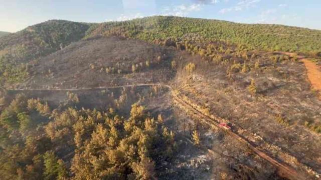 Bodrum'dan yükselen alevler 18 saatte kontrol altında! 100 hektarlık hasar gün ağarınca ortaya çıktı