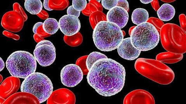 Bağışıklık sistemi nasıl güçlenir? Bağışıklık sistemi zayıf olanlar ne yapmalı? Bağışıklık sistemi zayıflığı nasıl anlaşılır?