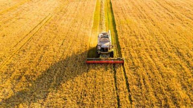 Rekolte ne demek, ne anlama geliyor? Rekolte kelimesi nerelerde kullanılır? Rekolte TDK anlamı nedir?