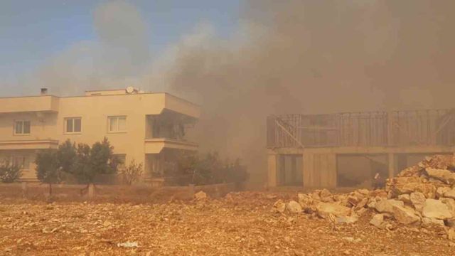 Bakan Yumaklı: İzmir'de 16 ev yandı, 87 ev ve 44 iş yeri tahliye edildi