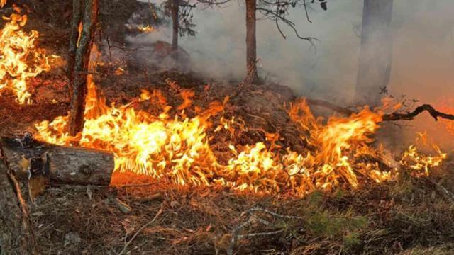 İzmir'deki yangında alevler binaların çatılarına sıçradı