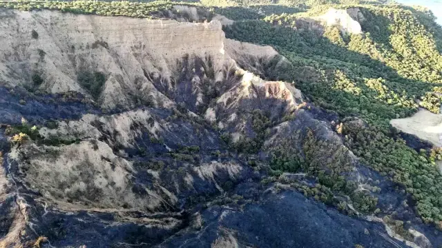 Çanakkale'de alevlerle mücadele sürüyor! Bir günde yaşanan kayıp gözler önüne serildi