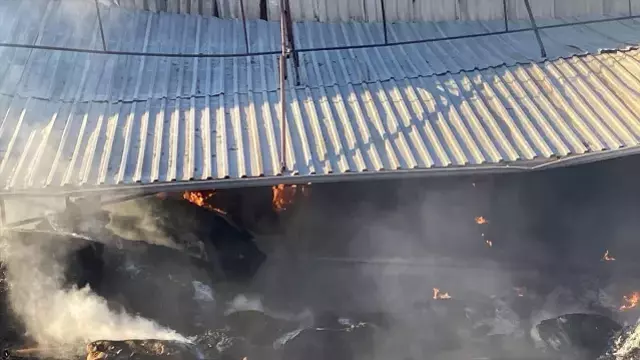 1 saatte 100 milyon liraları kül oldu: Cana gelmediği için mutluyuz