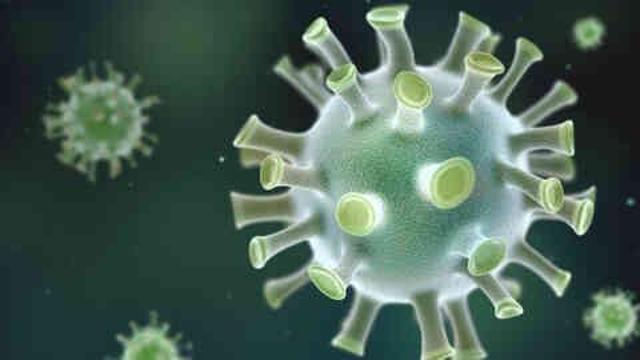 Marburg virüsü nedir, belirtileri neler, nasıl bulaşır? Marburg virüsü Türkiye'de görüldü mü?