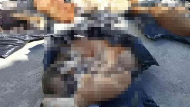 Gebze'de köpekleri ve kedileri kim öldürdü?