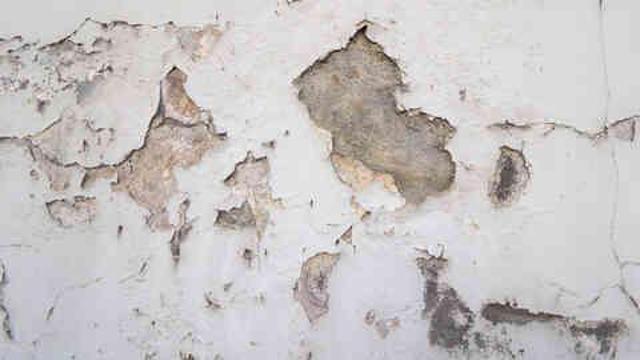 Rutubet nedir, neden olur, sebebi ne? Rutubet nasıl gider, ne yapılmalı?