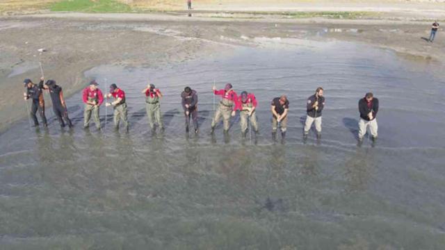 Rojin Kabaiş neden öldü, kim öldürdü?