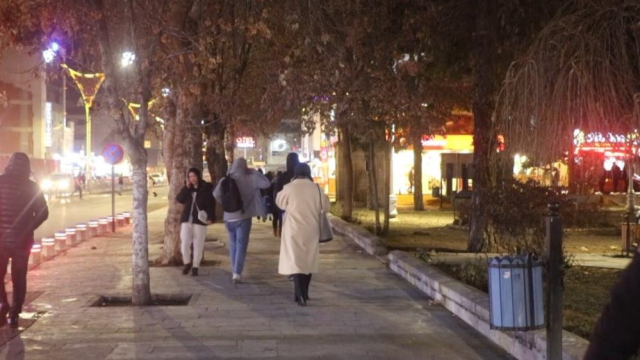 Erzincan'da kargalar için özel tim kuruldu