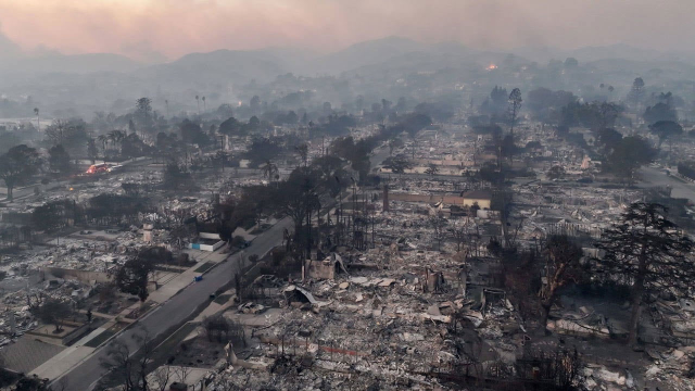 İtfaiye Ekibi Los Angeles'Ta Alevlere Poşetle Müdahale Etti