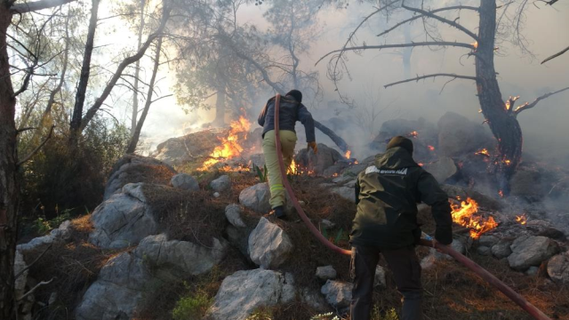 Kopan yüksek gerilim hattı orman yangını çıkardı