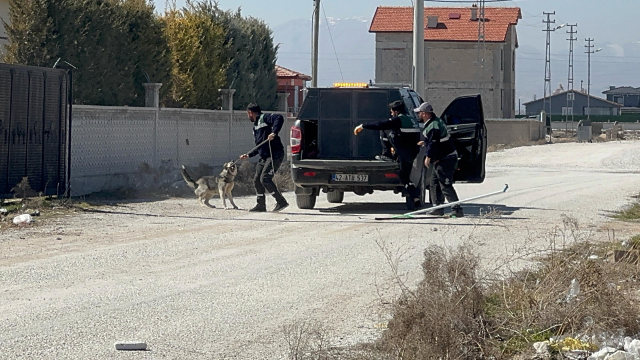 Konya'daki Sokak Köpeği Saldırısı: 2 Yaşındaki Suriye Uyruklu Çocuk Hayatını Kaybetti