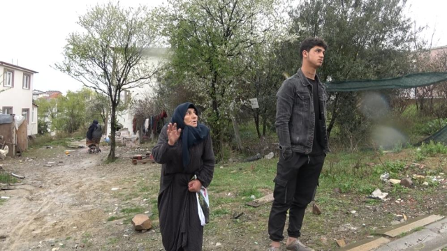 Sahipsiz köpekler 5 yaşındaki çocuğa saldırdı! Görüntüler korkunç