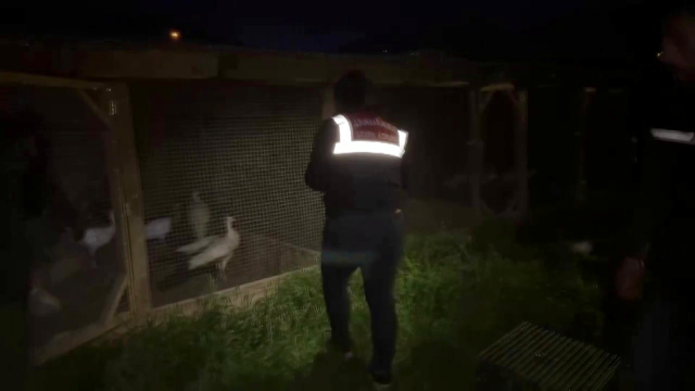 Hayvanat bahçesi gibi ev: Evinden çıkanlar hayrete düşürdü