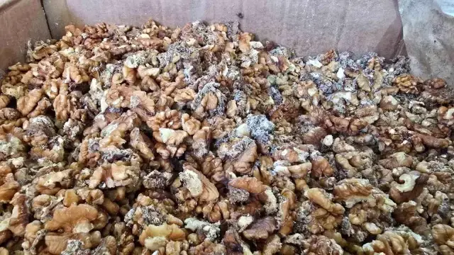 Ünlü baklavacının kurtlu ceviz skandalı büyüyor! Önce reddettiler sonra bambaşka konuştular