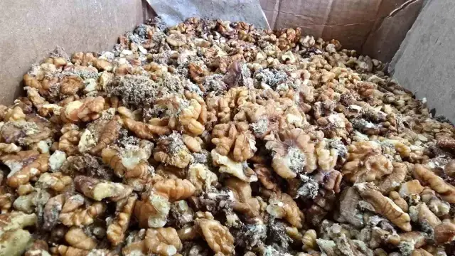 Ünlü baklavacının kurtlu ceviz skandalı büyüyor! Önce reddettiler sonra bambaşka konuştular