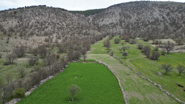 Kayaören Köyü Taşınma Kararına Tepkiler