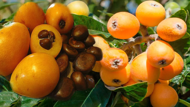 Kimse yüzüne bakmıyor ama ölüm hariç her derde deva!