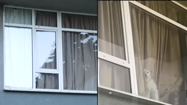 Harika Avcı hakkında şok iddialar! Ev sahibi sessizliği bozdu