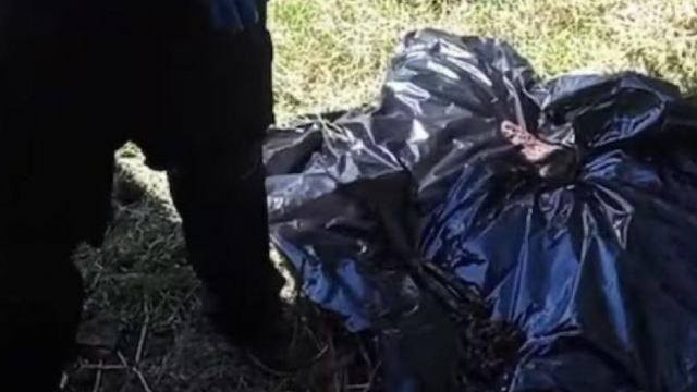 Terk edilmiş evde 17 ceset bulundu