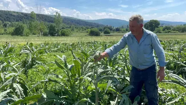 1 yıllık emeği 1 gecede gitti!