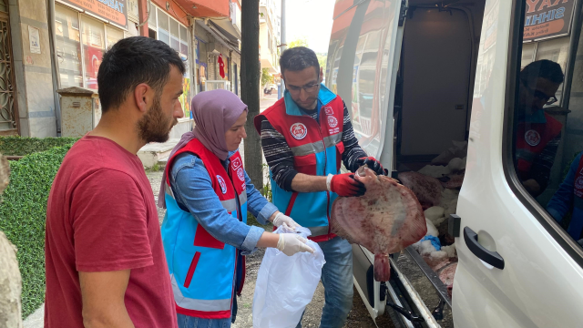 Türkeli'de kaçak avlanan 363 kalkan balığı vatandaşa dağıtıldı