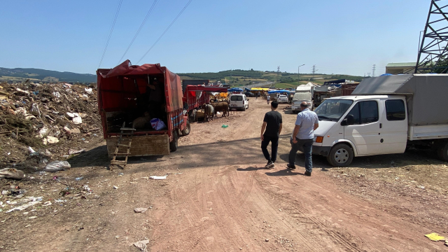 İzmit'te Kurbanlık Satıcıları Çöplükte Mağdur