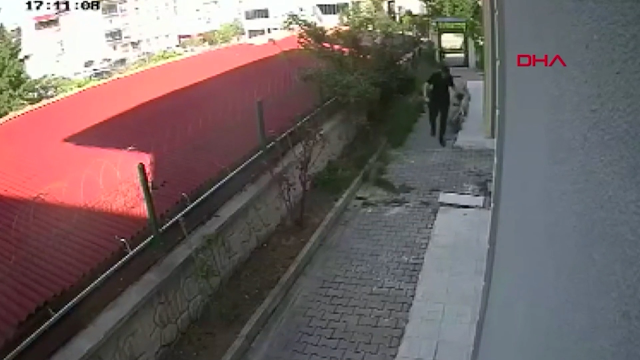 Doktorla ilgili iddianame hazır! Evine aldığı köpeklere istismarda bulunmuş