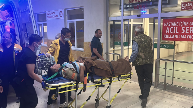 Arazi anlaşmazlığı cinayetle bitti! Kardeşini öldürdü, iki kişiyi yaraladı