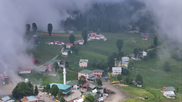 Karadeniz'de Adrenalin Dolu Bir Deneyim: Hıdırnebi Yaylası'nda Renkli Kaydırak