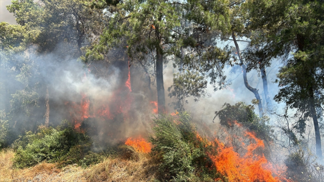 Bakan Yumaklı son durumu paylaştı! 3 şehrimizde yangınlar kısmen kontrol altında