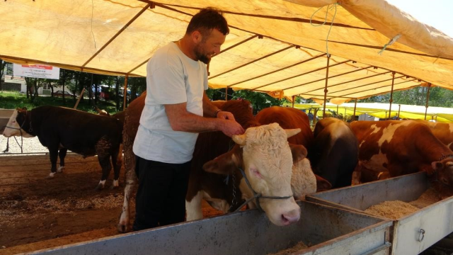 Tarım ve Orman Bakanlığı'ndan Hayvan Pazarlarına Sıkı Tedbirler