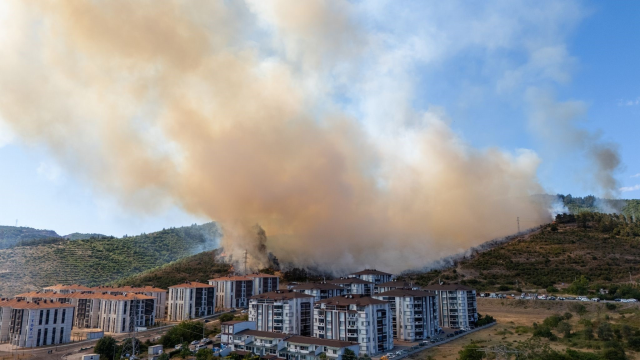 Kocaeli'de söndürülen orman yangını havadan görüntülendi