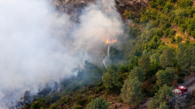 Kocaeli'de söndürülen orman yangını havadan görüntülendi