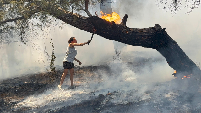 Antalya yine alevlere teslim! Turistler yangına müdahale ediyor
