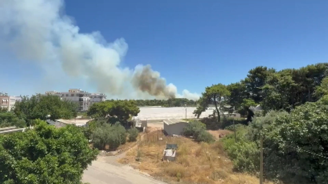 Antalya yine alevlere teslim! Turistler yangına müdahale ediyor