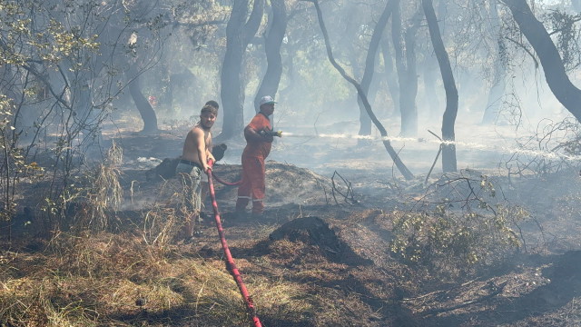 Antalya yine alevlere teslim! Turistler yangına müdahale ediyor