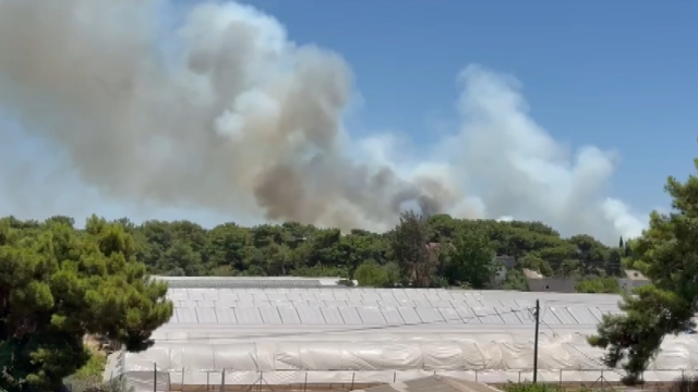 Antalya yine alevlere teslim! Turistler yangına müdahale ediyor
