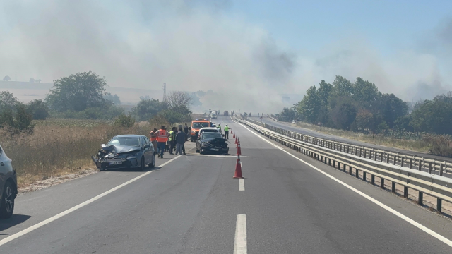 Edirne'de çıkan anız yangını kara yoluna ulaştı
