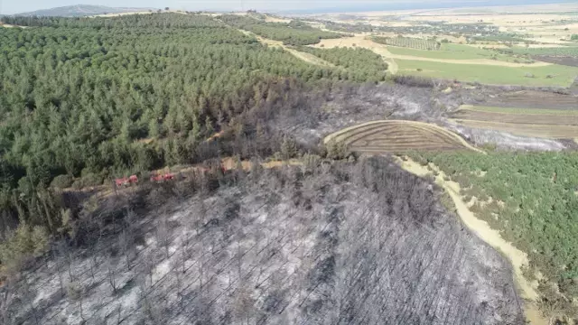 Tekirdağ'daki orman yangını ikinci günde kontrol altına alındı