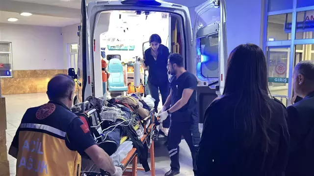 Trafik kazası geçiren eski Bitlis Valisi Erol Karaömeroğlu hayatını kaybetti