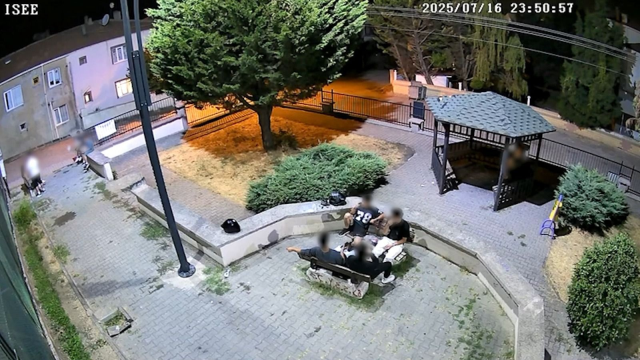 Parkta yere attıkları çekirdek kabuklarını zabıta gözetiminde topladılar